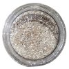 ΣΚΟΝΕΣ ECO GLITTER PENTART 15gr - silver-fine - 15gr