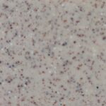 ΝΕΡΟΧΥΤΗΣ ΚΟΥΖΙΝΑΣ ΣΥΝΘΕΤΙΚΟΣ ΓΡΑΝΙΤΗΣ ΥΠΟΚΑΘΗΜΕΝΟΣ SANITEC LIBRA 329 104x51cm (18 ΧΡΩΜΑΤΑ) - 10-granite-beige - 104x51cm